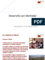 Desarrollo Con Identidad Brown