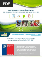 Implementación Norma Tecnica Tmert-eess Ene2015