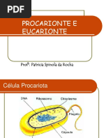 2. ESTRUTURA CELULAR.pdf