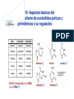 sintesis de nucleotidos 2.pdf