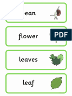 ingles plants.pdf