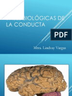 Bases Biologicas de La Conducta