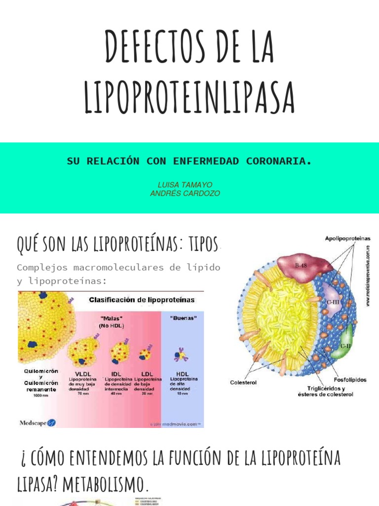 lipoprotein lipasa.pptx Lipoproteína Triglicéridos