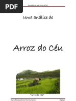 Uma análise de  Arroz do Céu