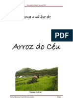 Uma Análise de Arroz Do Céu