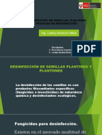 Desinfección de Semillas, Plantines