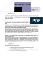 Exame Neurológico.pdf