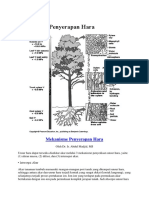 Mekanisme Penyerapan Hara