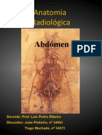 Anatomia Abdómen