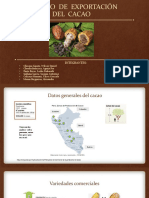 Proceso exportación cacao Perú