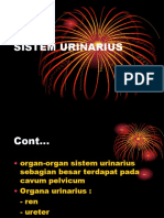 SISTEM URINARIUS.ppt