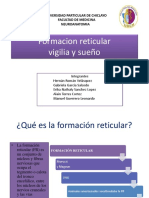 Formacion Reticular