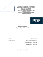 Primeros Auxilios Higiene y Seguridad Industrial