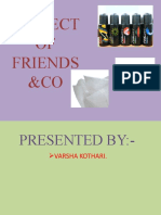 Project of Friends &Co