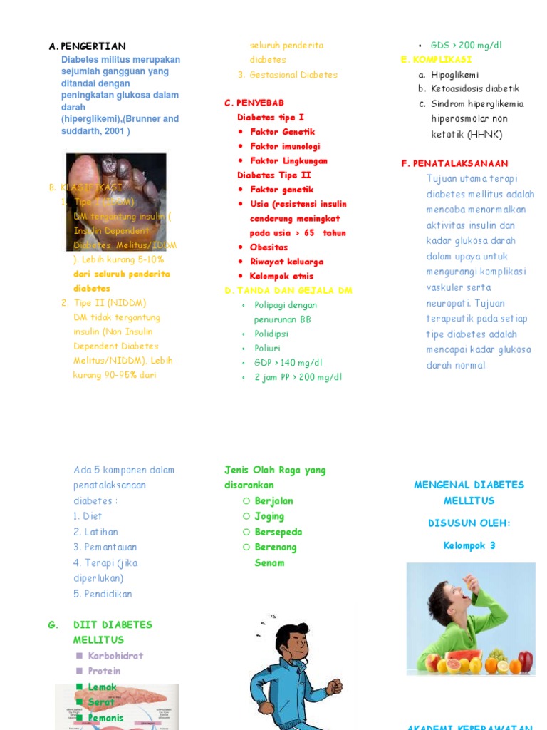 Panduan Lengkap Diabetes Melitus | PDF