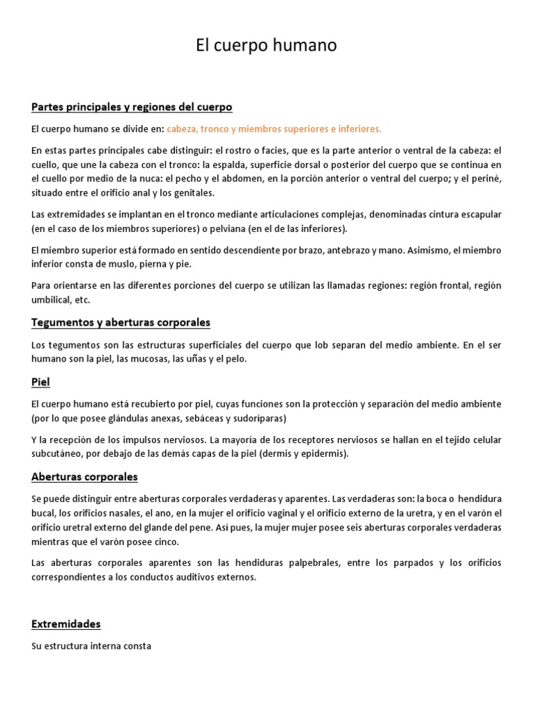 Partes y regiones del cuerpo humano | PDF