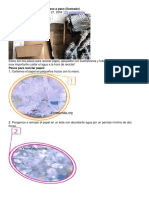 Proceso para Reciclar Papel Paso A Paso