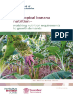 Sub Tropical Banana Nutrition