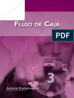 Flujo de Caja