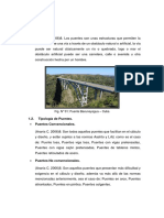 Puente S