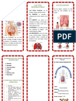 Triptico Sistema Respiratorio