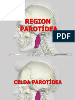 Cara Regiones Profundas 03 09 18