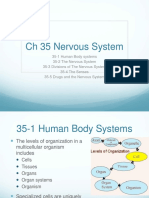 CH 35 Nervous System
