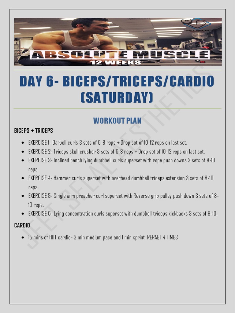 Biceps and Triceps Workout Plan | PDF | Wellness