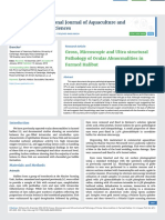 Gross, Microscopic and Ultra structural Pathology of Ocular Abnormalities in Farmed Halibut