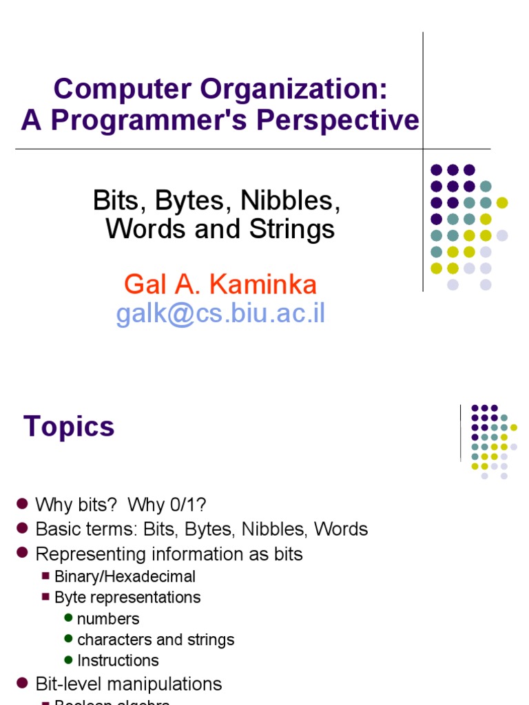 Computer Organization A Programmer's Perspective Bits, Bytes, Nibbles