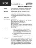 Download Fish Morphology by dev_sharma1986 SN38826075 doc pdf