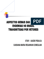 Aula7_Endemias_Vetores_1.pdf