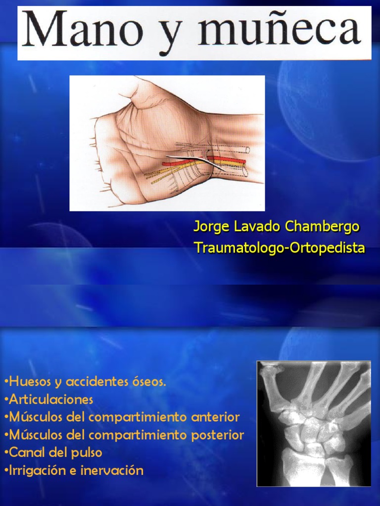 Mano y Muñeca | PDF | Mano | Sistema esquelético