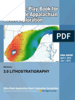 3.0 Lithostratigraphy Appalachian