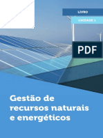 Gestão de Recursos Naturais e Energéticos LIVRO.pdf