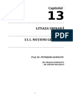 13.1 Prof Geavlete Litiaza Urinara