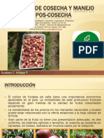 Riego en Frutales PDF