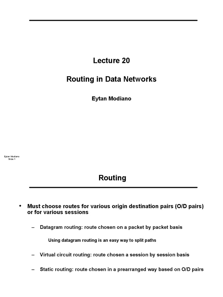 Routing Techniques in Data Networks | PDF