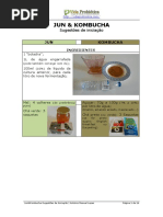 JunKombucha Sugestões de Iniciação V5