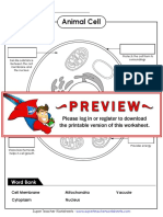 Cells worksheet.pdf