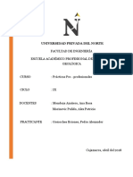 T2 INFORME PRÁCTICAS PRE PROFESIONALES  - GOICOCHEA BRIONES PEDRO.docx