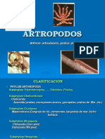 ARTROPODOS. Arthron_ Articulación, Podos_ Pie.