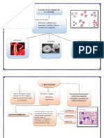 Component Es Del A Sangre