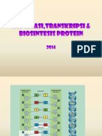 Biosintesis Protein