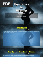 Hypertension in Pregnancy (Pogs-Cpg)