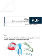 Isolasi Dna