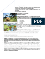 Tipos de Ecosistema