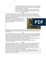 Cómo descansan los caballos.pdf