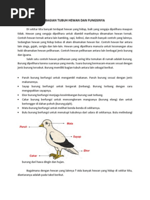 620+ Gambar Hewan Dan Fungsi Tubuhnya Terbaru