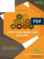 Online Credit Risk Analytics and Modeling